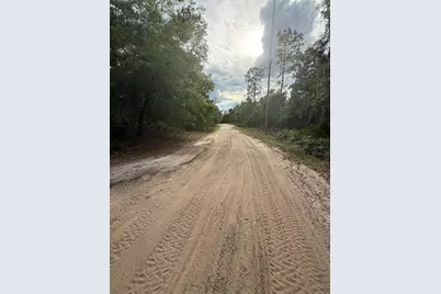 18710 SE 61st Street Road, Ocklawaha, FL 32179 - Photo 10