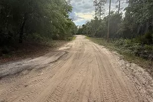 18710 SE 61st Street Rd, Ocklawaha, FL 32179 - Photo 10