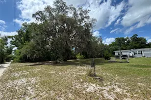 10801 SW 160th St, Dunnellon, FL 34432 - Photo 6