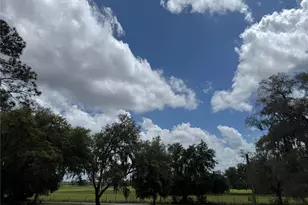 10801 SW 160th St, Dunnellon, FL 34432 - Photo 76