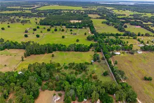 5820 NW 160th St, Reddick, FL 32686 - Photo 6