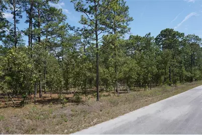 Tbd NW Tree Top Road, Dunnellon, FL 34431 - Photo 1