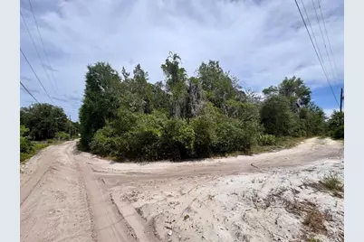 8365 NE 306th Court, Salt Springs, FL 32134 - Photo 2