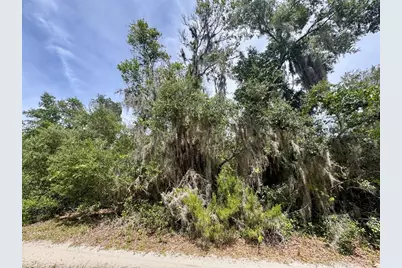 8365 NE 306th Court, Salt Springs, FL 32134 - Photo 6