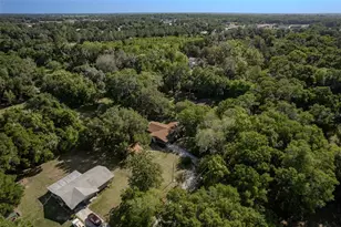2217 NW 52 St, Ocala, FL 34475 - Photo 48