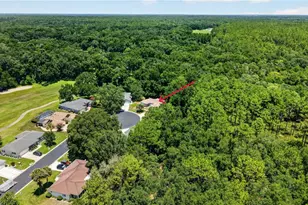 15024 SW 112th Cir, Dunnellon, FL 34432 - Photo 42