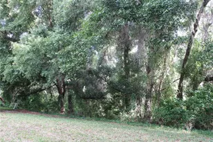 15024 SW 112th Cir, Dunnellon, FL 34432 - Photo 34