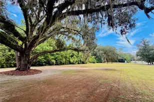 5900 S Magnolia Ave, Ocala, FL 34471 - Photo 4