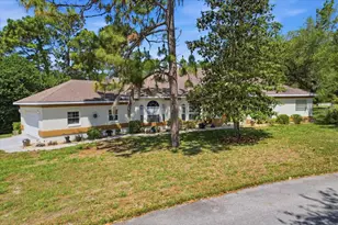 3 Portulaca Ct N, Homosassa, FL 34446 - Photo 48