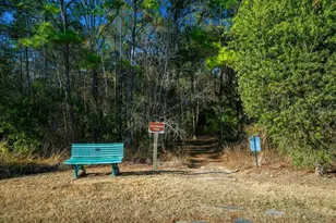 3255 NE 104th Ave, Silver Springs, FL 34488 - Photo 82