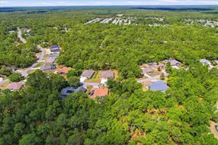 7 Bells of Ireland Ct, Homosassa, FL 34446 - Photo 44