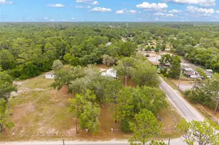 15460 SW 85th Ave, Dunnellon, FL 34432 - Photo 38
