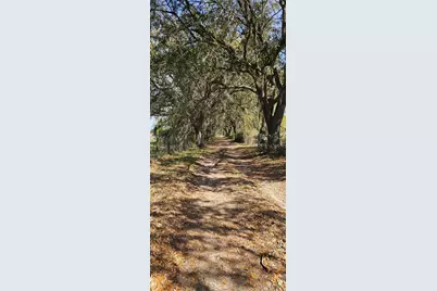 1869 SW 32nd Place, Bell, FL 32619 - Photo 30