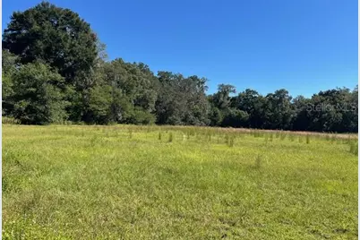 000 NW 27th Avenue, Citra, FL 32113 - Photo 4