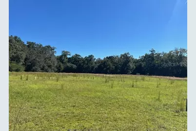 000 NW 27th Avenue, Citra, FL 32113 - Photo 10