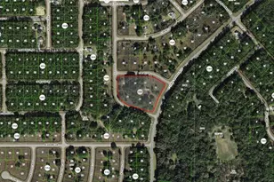 554 E Jewel Ln, Dunnellon, FL 34434 - Photo 1