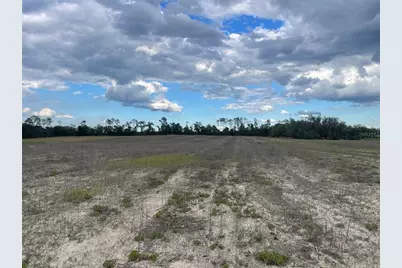 23535 NE 99th Avenue Road, Citra, FL 32113 - Photo 4