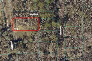 Tbd SW 135 Terrace, Ocala, FL 34481 - Photo 1