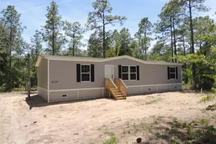 14230 SE 20 St, Morriston, FL 32668 - Photo 4