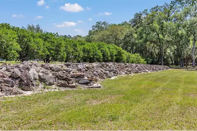 3325 S Hwy 314A, Ocklawaha, FL 32179 - Photo 48