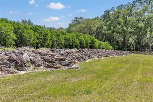 3325 S Hwy 314 A, Ocklawaha, FL 32179 - Photo 48