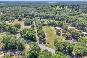 3325 S Hwy 314 A, Ocklawaha, FL 32179 - Photo 8