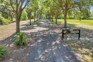 3325 S Hwy 314 A, Ocklawaha, FL 32179 - Photo 10