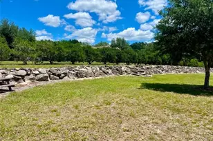 3325 S Hwy 314 A, Ocklawaha, FL 32179 - Photo 4