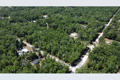 Ne 7th Place, Williston, FL 32696 - Photo 4