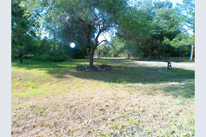 Sequoia Drive Trace, Ocklawaha, FL 32179 - Photo 2