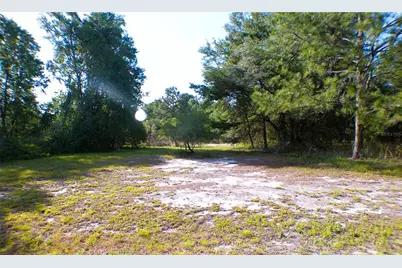 Sequoia Drive Trace, Ocklawaha, FL 32179 - Photo 4