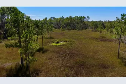 Key Deer Ct, Perry, FL 32348 - Photo 18