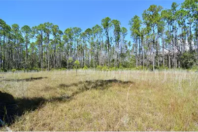 Key Deer Ct, Perry, FL 32348 - Photo 4