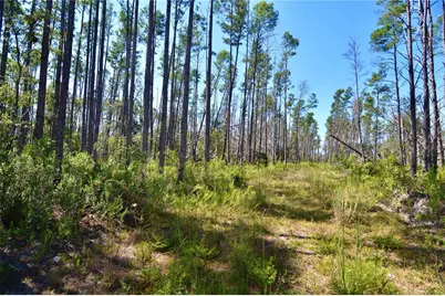 Key Deer Ct, Perry, FL 32348 - Photo 24