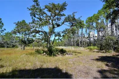 Key Deer Ct, Perry, FL 32348 - Photo 10
