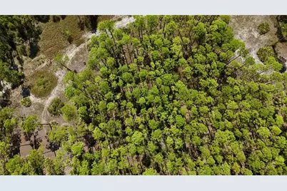 Key Deer Ct, Perry, FL 32348 - Photo 16