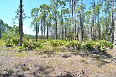 Key Deer Ct, Perry, FL 32348 - Photo 6