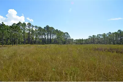 Key Deer Ct, Perry, FL 32348 - Photo 12
