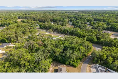 358 Locust Road, Ocala, FL 34480 - Photo 46
