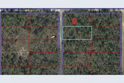 00 SE 126th Terrace, Dunnellon, FL 34431 - Photo 2