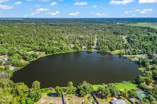 214 Fisher Run, Ocklawaha, FL 32179 - Photo 46
