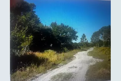 733 N Tarry Lane, Lorida, FL 33857 - Photo 2