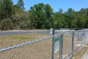 7899 W Fostoria Dr, Dunnellon, FL 34433 - Photo 80