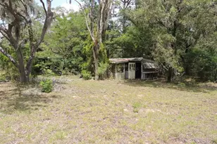 250 NE 131st Ave, Williston, FL 32696 - Photo 28