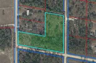 250 NE 131st Ave, Williston, FL 32696 - Photo 10