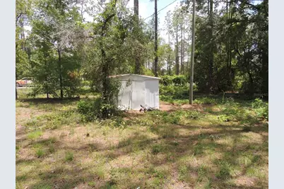 250 NE 131st Avenue, Williston, FL 32696 - Photo 4