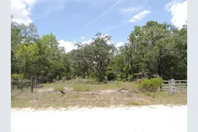 250 NE 131st Avenue, Williston, FL 32696 - Photo 26