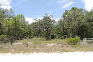 250 NE 131st Ave, Williston, FL 32696 - Photo 26