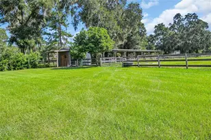 6155 NW 145th Avenue Rd, Morriston, FL 32668 - Photo 16
