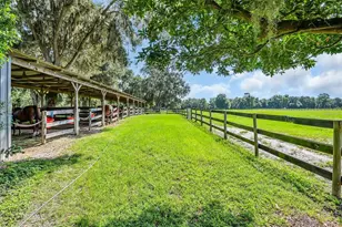 6155 NW 145th Avenue Rd, Morriston, FL 32668 - Photo 18